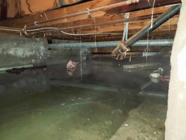 Best Ceiling water damage repair  in Port Gibson, MS
