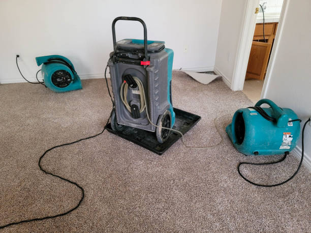 Best Professional water damage repair  in Port Gibson, MS