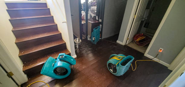 Best Water damage restoration near me  in Port Gibson, MS