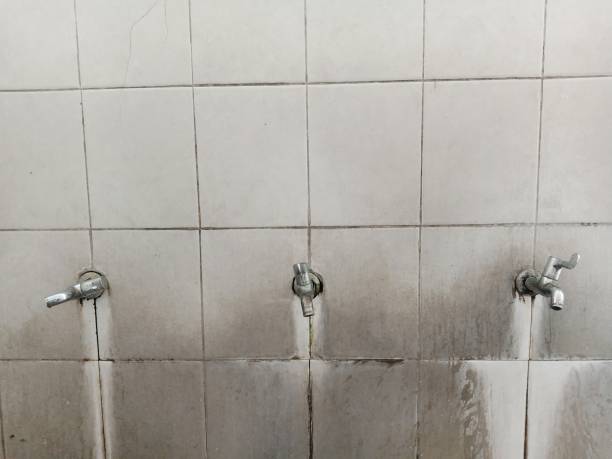 Best Carpet water damage restoration  in Port Gibson, MS