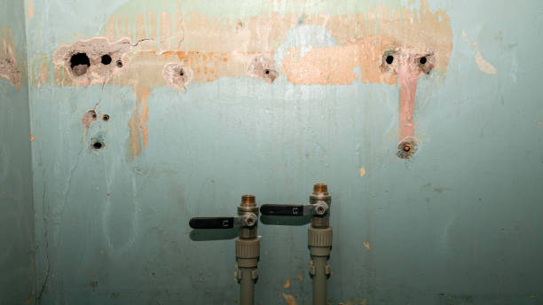 Best Water damage cleanup near me  in Port Gibson, MS