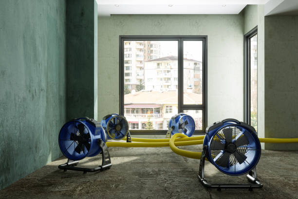 Best Water damage contractors near me  in Port Gibson, MS